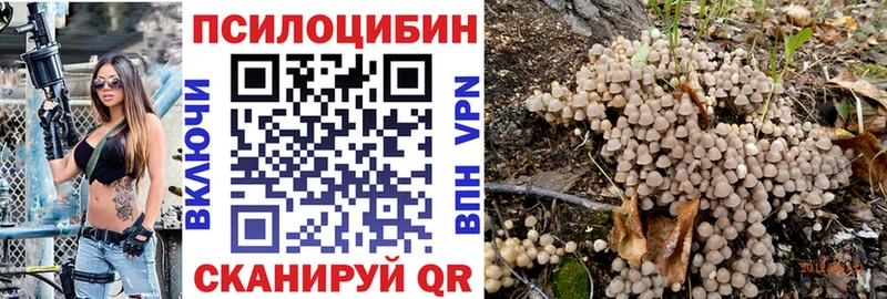 ссылка на мегу ссылки  Североуральск  Псилоцибиновые грибы GOLDEN TEACHER 